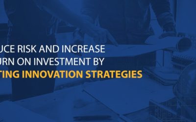Reduce Risk and Increase Return on Investment by Setting Innovation Strategies